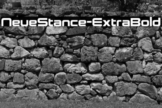 NeueStance-ExtraBold Example 1