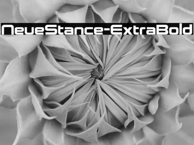 NeueStance-ExtraBold Example 2