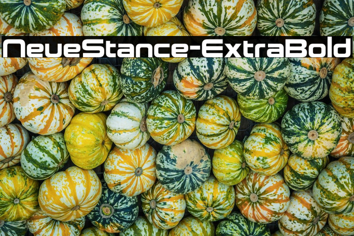 NeueStance-ExtraBold Example 3