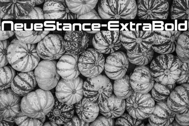 NeueStance-ExtraBold Example 3
