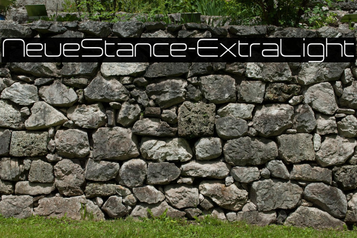 NeueStance-ExtraLight Example 1