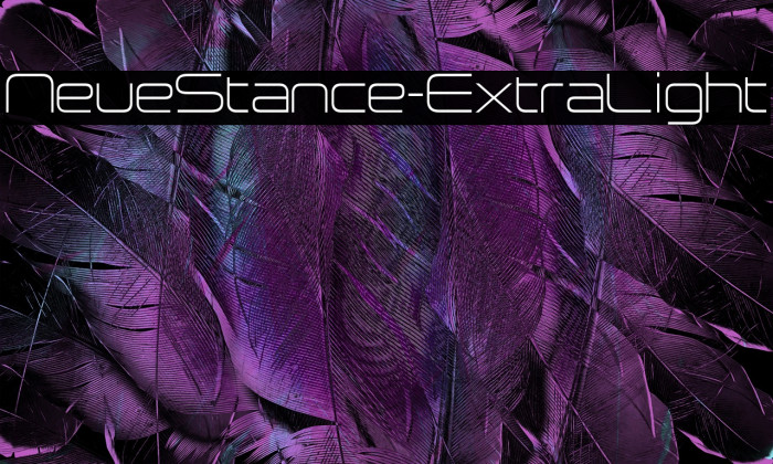 NeueStance-ExtraLight Example 2