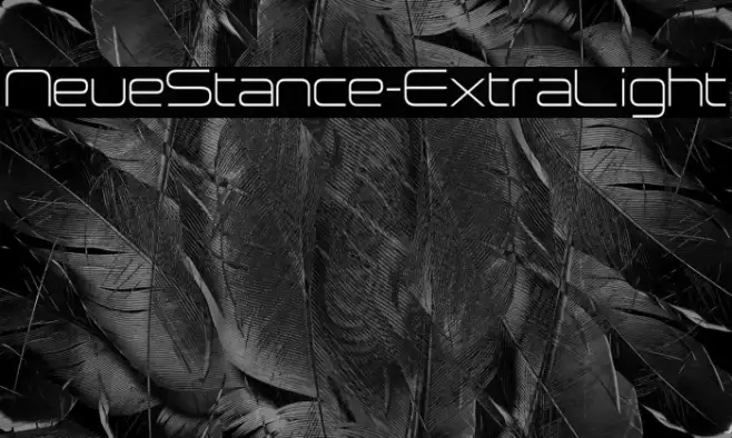 NeueStance-ExtraLight Example 2