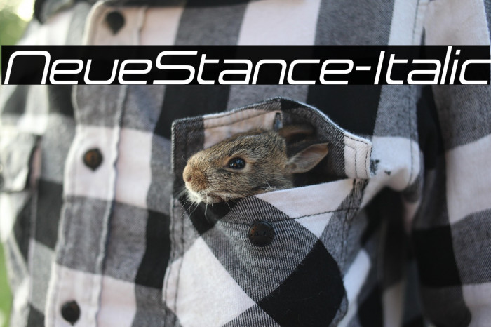 NeueStance-Italic Example 3