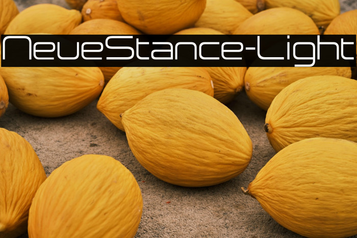 NeueStance-Light Example 1