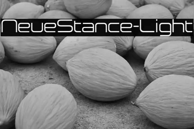 NeueStance-Light Example 1