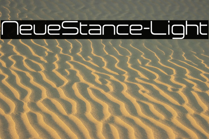 NeueStance-Light Example 2