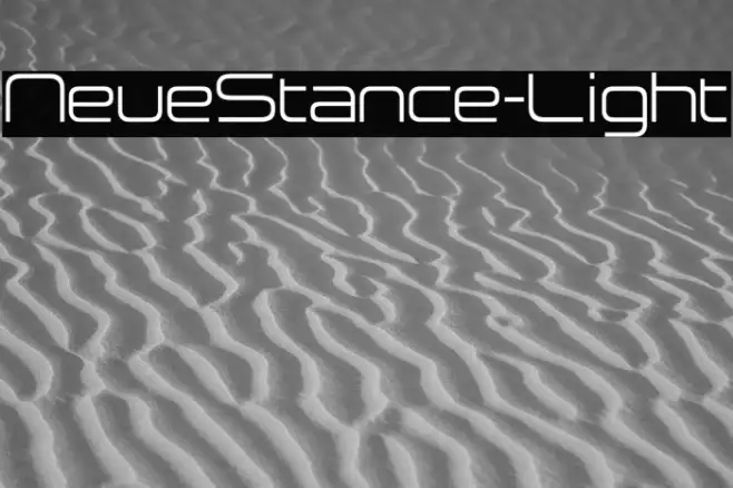 NeueStance-Light Example 2