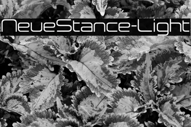 NeueStance-Light Example 3