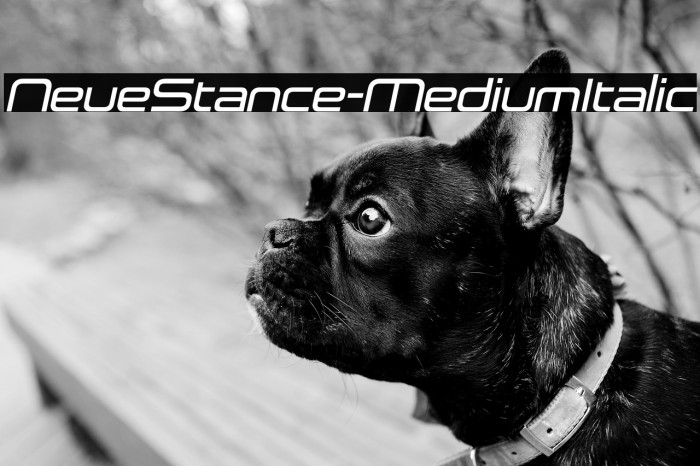NeueStance-MediumItalic Example 1