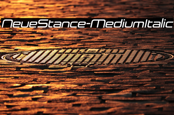 NeueStance-MediumItalic Example 2