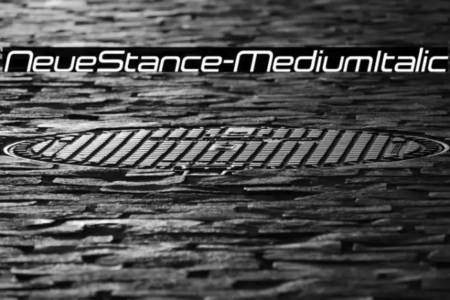 NeueStance-MediumItalic Example 2