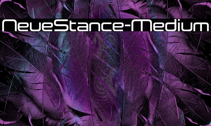 NeueStance-Medium Example 1