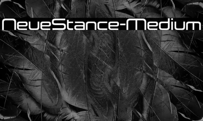 NeueStance-Medium Example 1