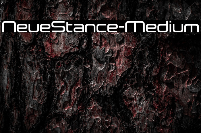 NeueStance-Medium Example 2