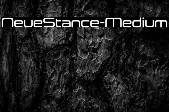 NeueStance-Medium Example 2