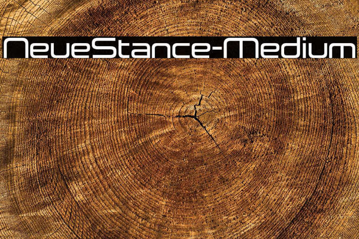 NeueStance-Medium Example 3