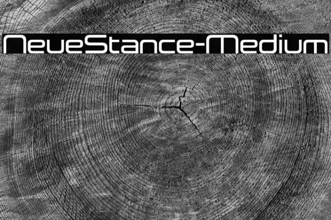 NeueStance-Medium Example 3