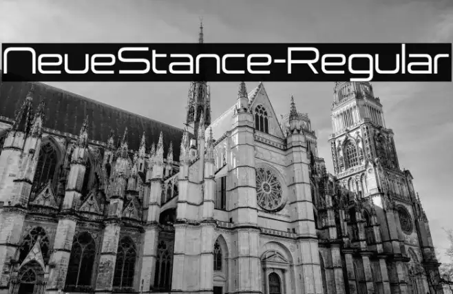 NeueStance-Regular Example 1