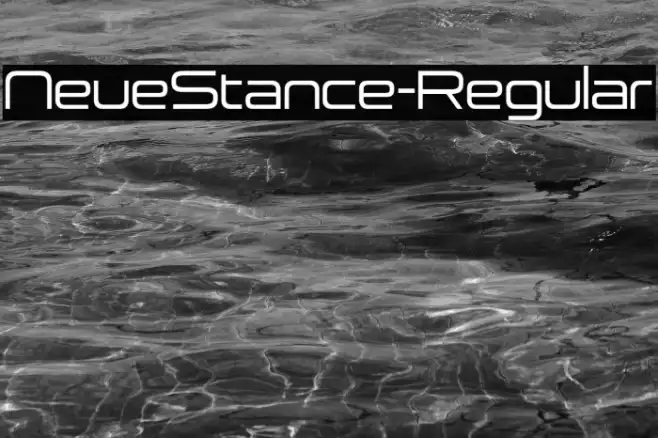 NeueStance-Regular Example 3
