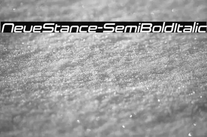 NeueStance-SemiBoldItalic Example 1