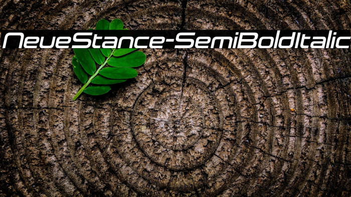 NeueStance-SemiBoldItalic Example 2