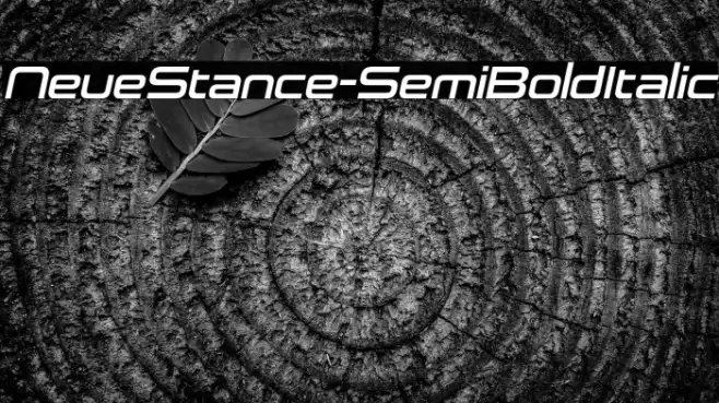 NeueStance-SemiBoldItalic Example 2