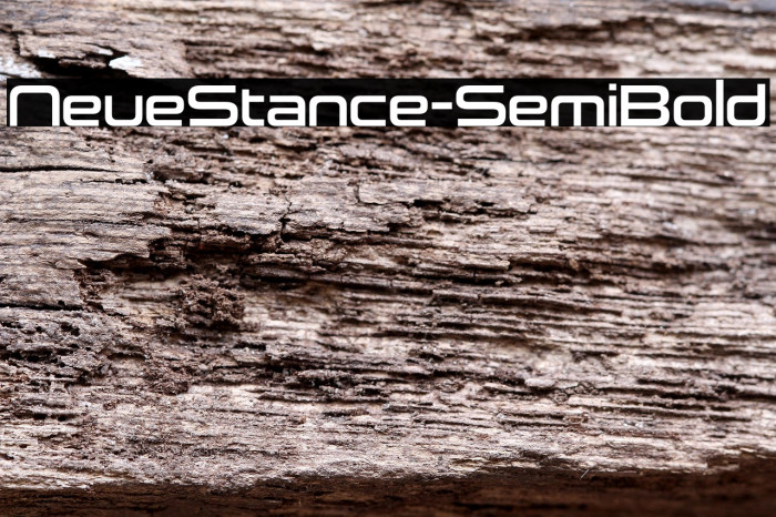 NeueStance-SemiBold Example 1
