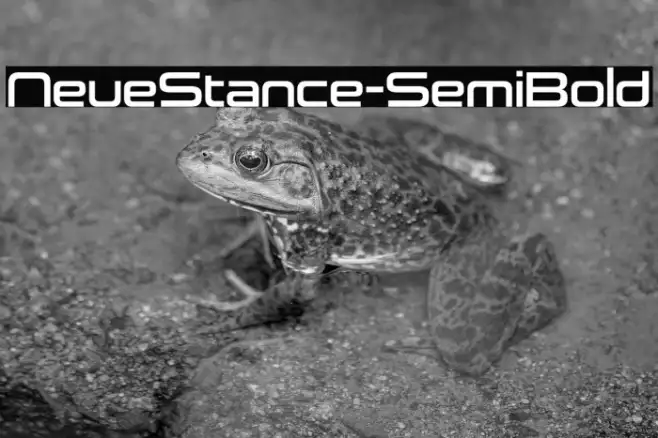 NeueStance-SemiBold Example 2