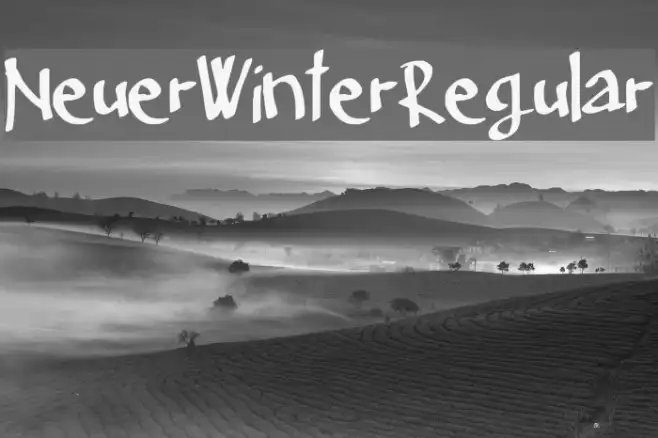 Neuer_Winter_Regular Example 2