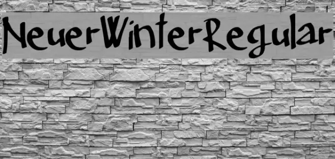 Neuer_Winter_Regular Example 3