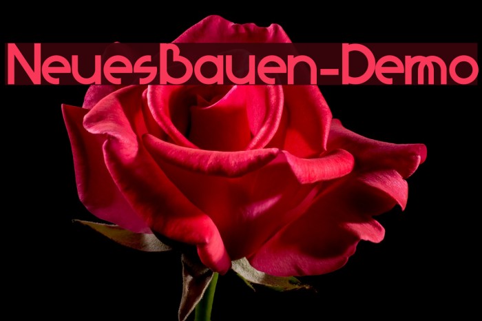 NeuesBauen-Demo Font examples