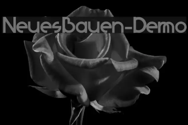 NeuesBauen-Demo Example 1