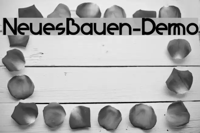 NeuesBauen-Demo Example 2