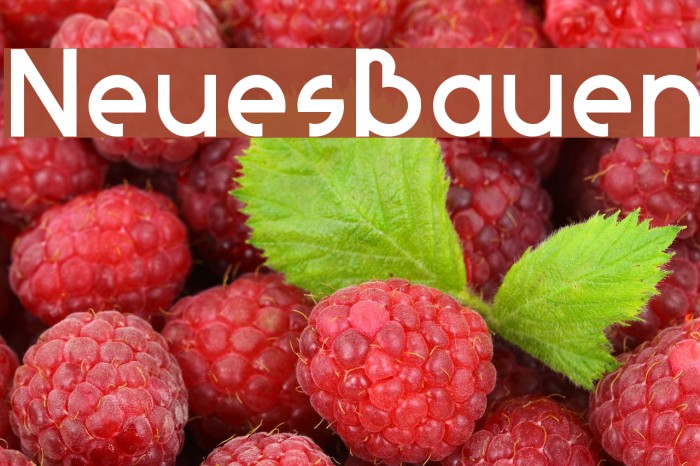 NeuesBauen Example 1