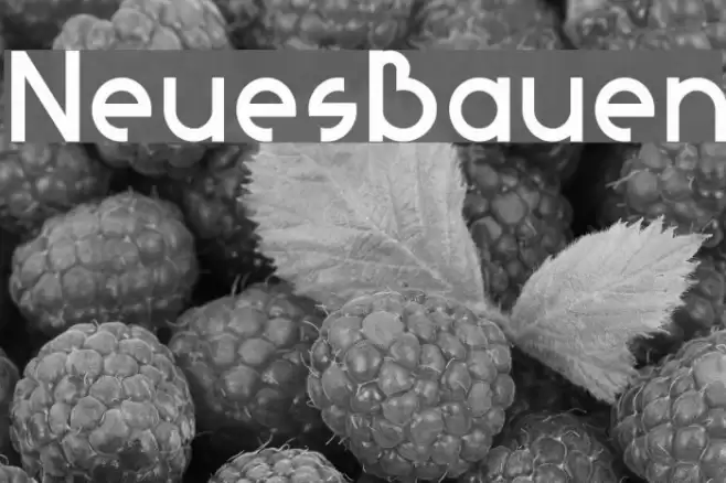 NeuesBauen Font examples