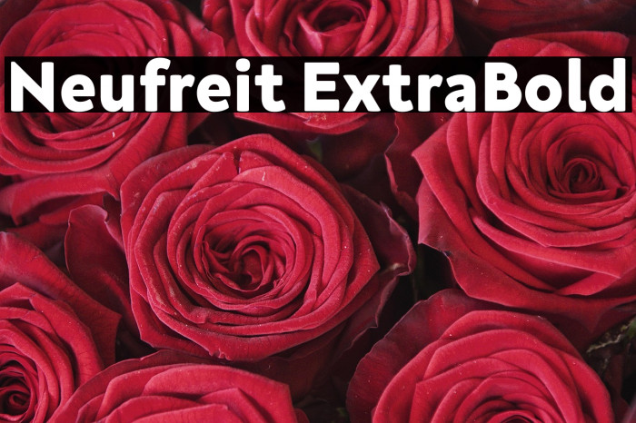 Neufreit ExtraBold Example 3
