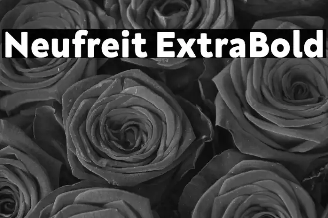 Neufreit ExtraBold Example 3