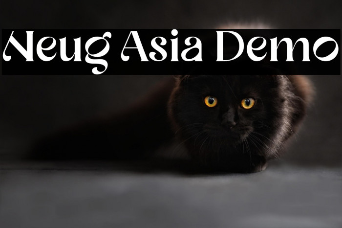 Neug Asia Demo Example 2