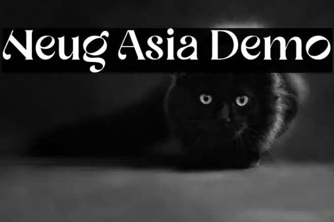 Neug Asia Demo Example 2