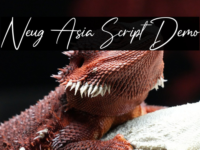 Neug Asia Script Demo Example 1