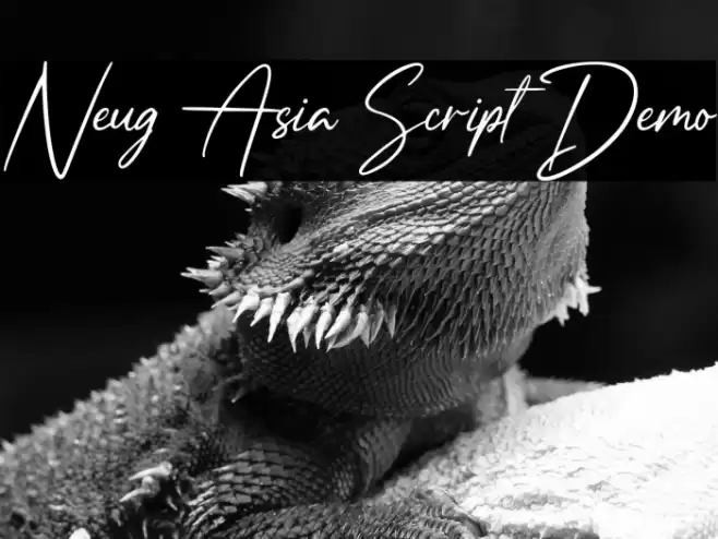 Neug Asia Script Demo Font examples