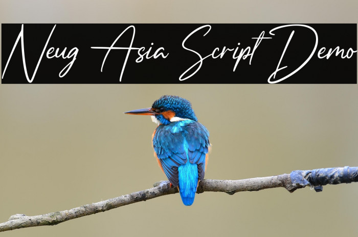 Neug Asia Script Demo Example 3