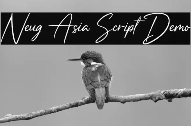Neug Asia Script Demo Font examples