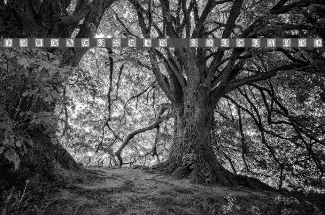 Neugotische Initialen Font examples