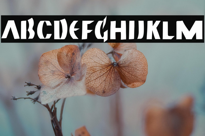 Neuland Bold Example 1