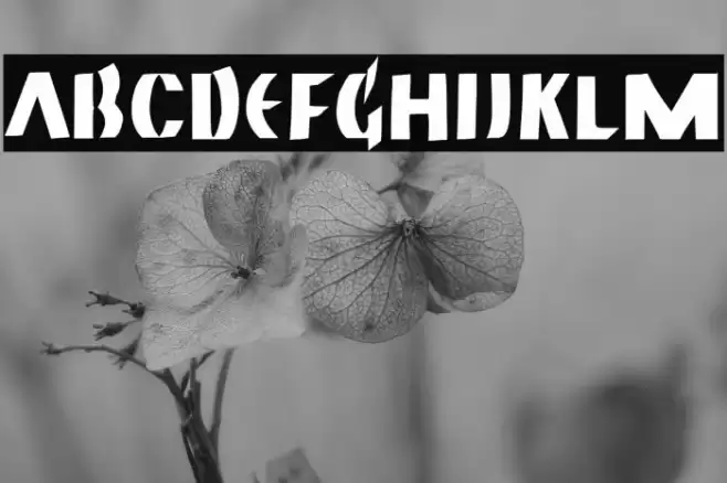 Neuland Bold Font examples