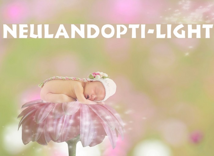 NeulandOpti-Light Font examples