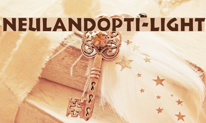 NeulandOpti-Light Font examples