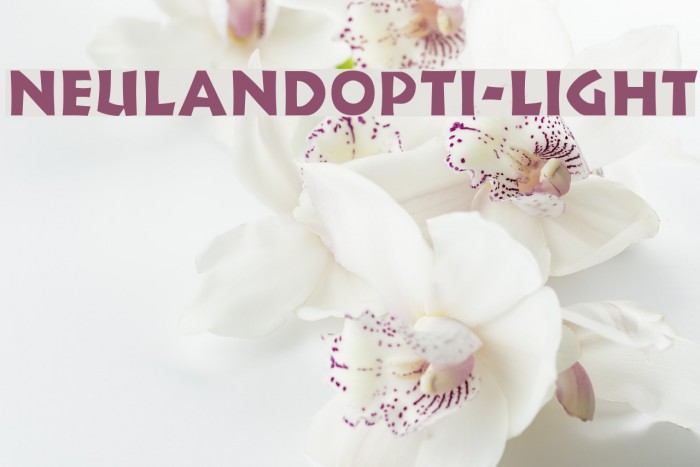 NeulandOpti-Light Font examples